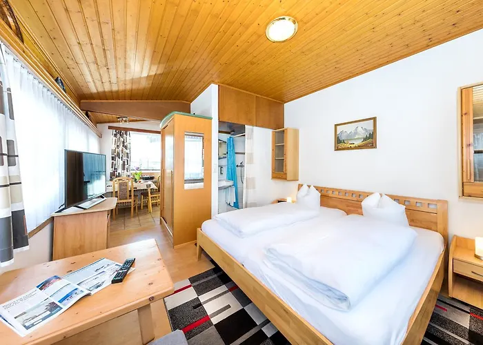 豪斯索嫩斯策恩公寓式酒店 * 滨湖采尔